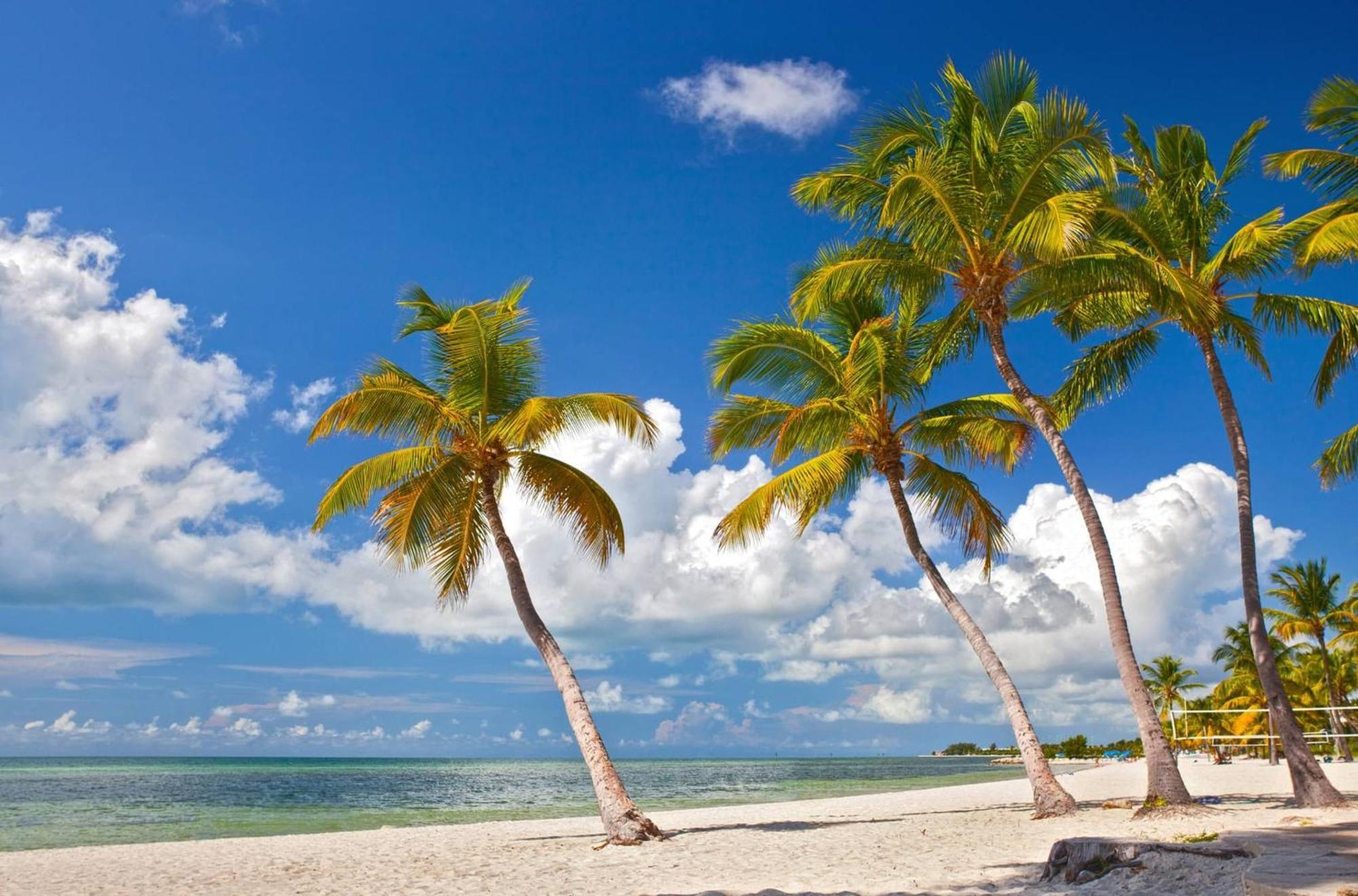 Casa Grande By Avantstay Dt Key West Near South Beach W Pool Bagian luar foto